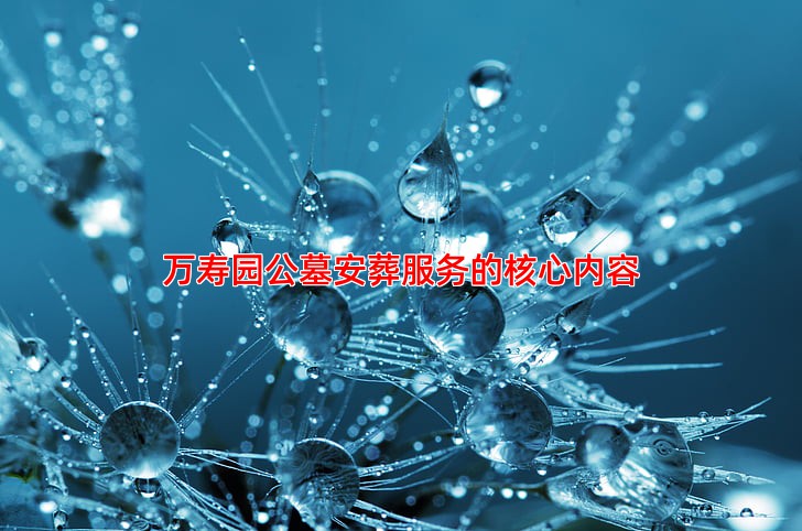 万寿园公墓安葬服务的核心内容