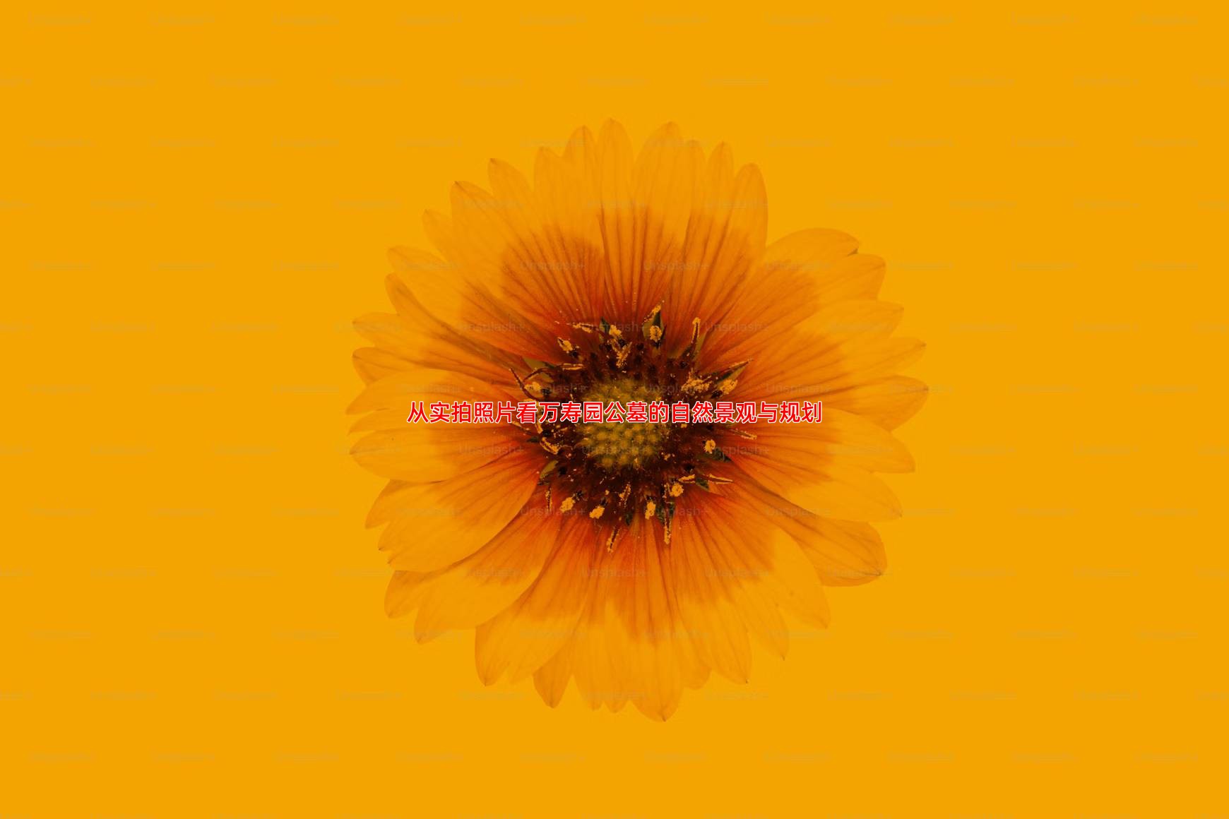 从实拍照片看万寿园公墓的自然景观与规划