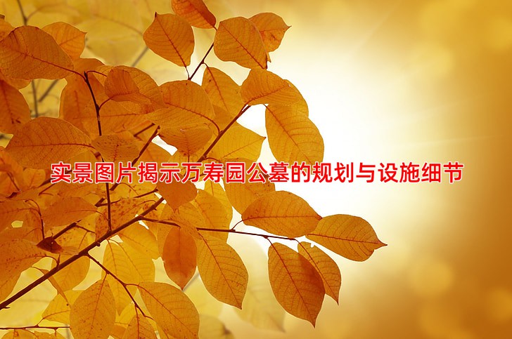 实景图片揭示万寿园公墓的规划与设施细节