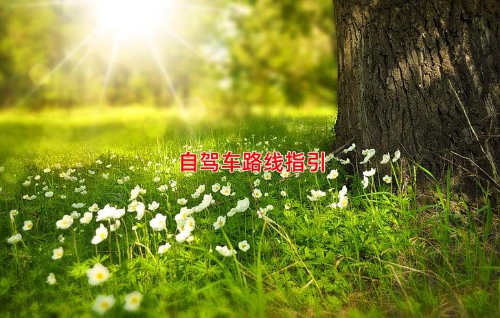 自驾车路线指引
