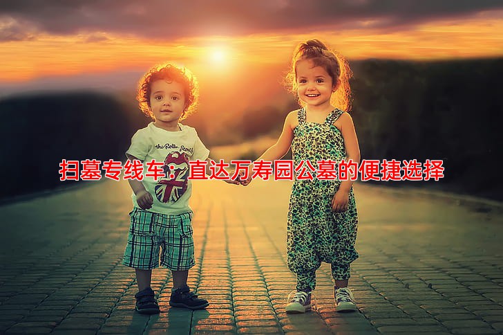 扫墓专线车是否直达万寿园公墓