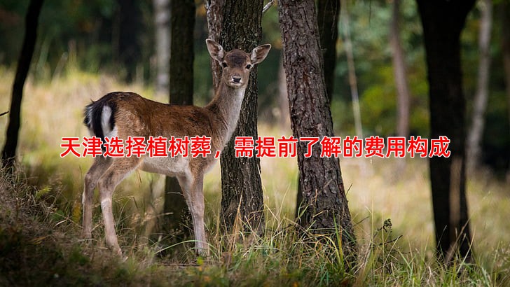 天津选择植树葬，需提前了解的费用构成