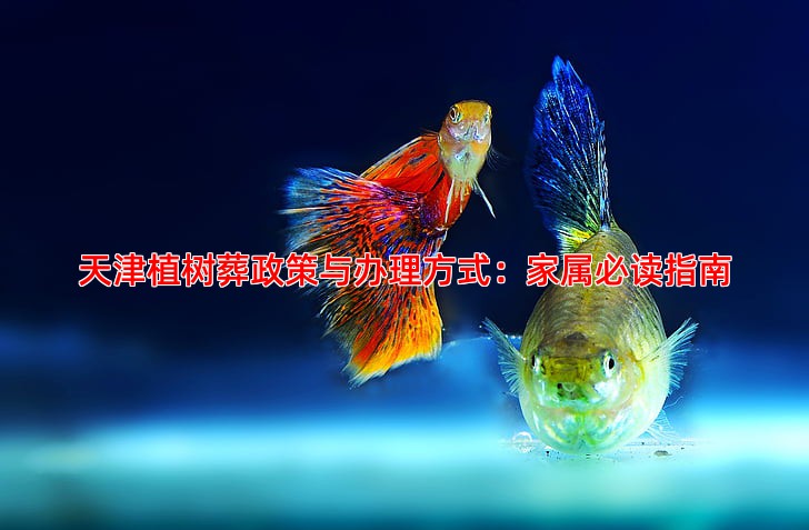 天津植树葬政策与办理方式：家属必读指南
