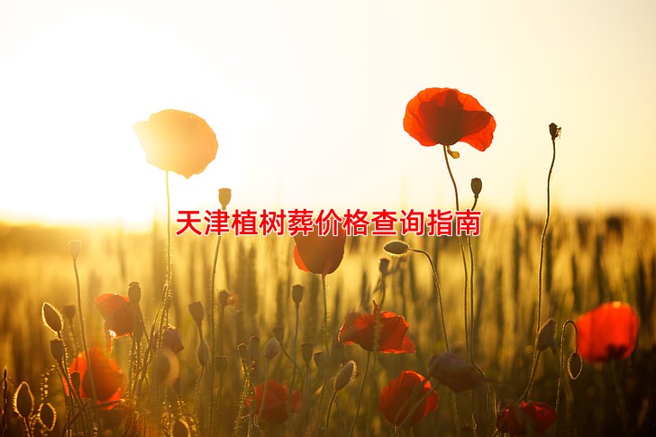 天津植树葬价格查询指南