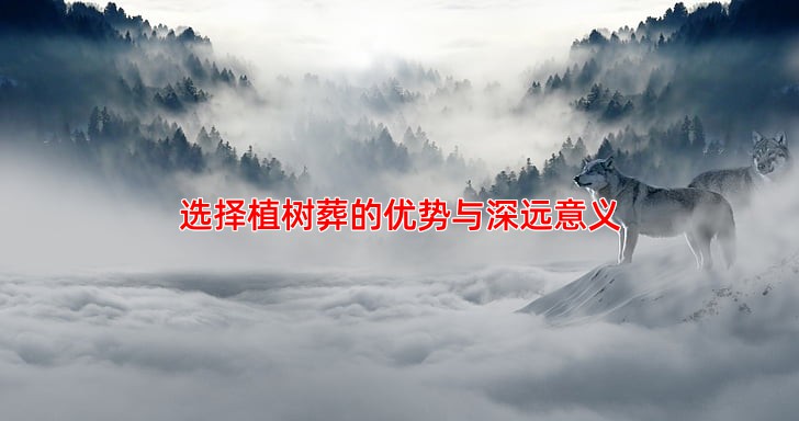 选择植树葬的优势与深远意义