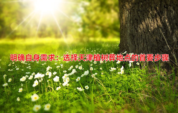 明确自身需求：选择天津植树葬地点的首要步骤