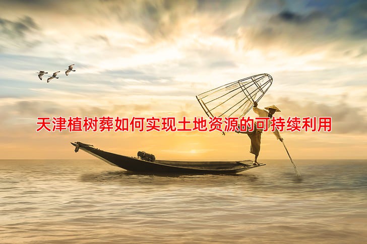 天津植树葬如何实现土地资源的可持续利用