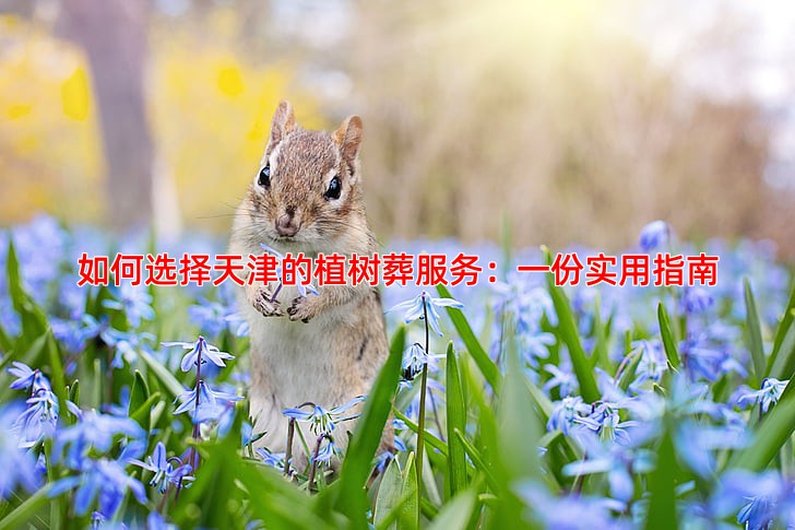 如何选择天津的植树葬服务：一份实用指南