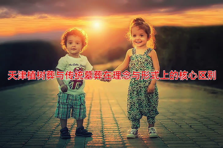 天津植树葬与传统墓葬在理念与形式上的核心区别
