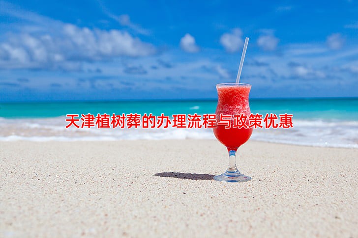 天津植树葬的办理流程与政策优惠