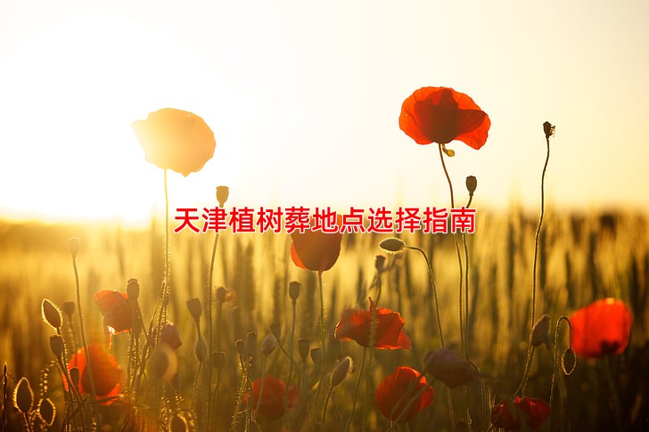 天津植树葬地点选择指南
