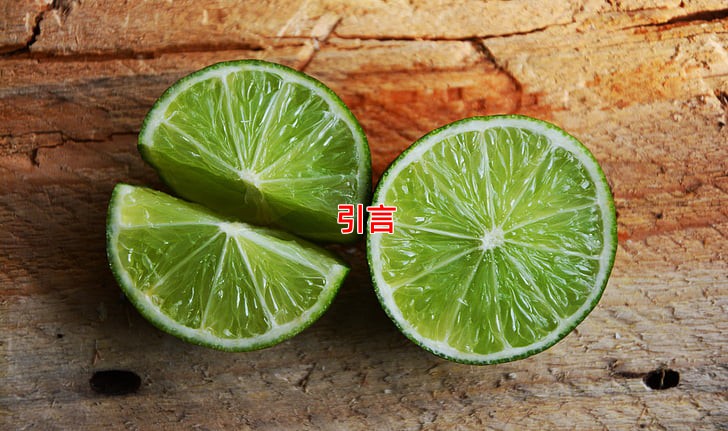 引言