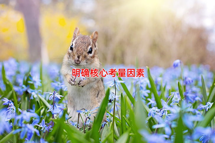 明确核心考量因素