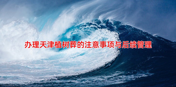 办理天津植树葬的注意事项与后续管理