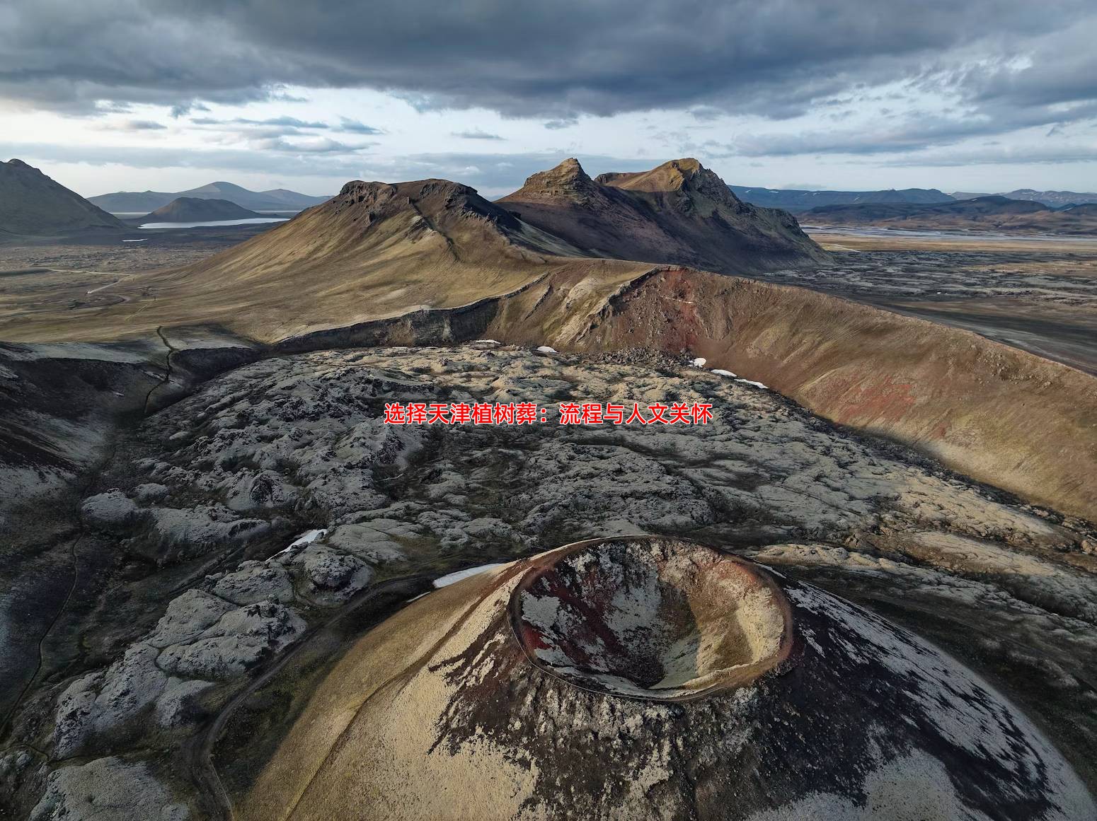 选择天津植树葬：流程与人文关怀