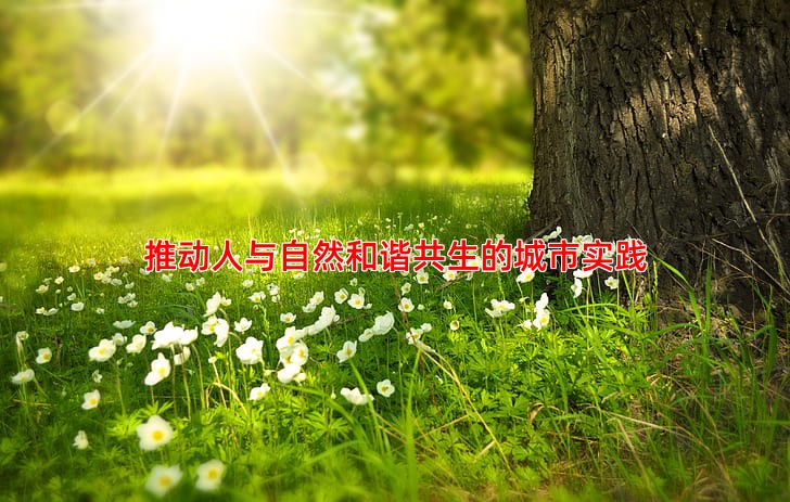 推动人与自然和谐共生的城市实践