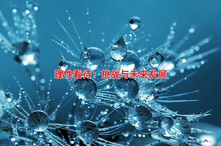 理性看待：挑战与未来发展
