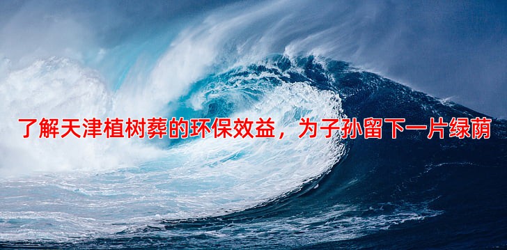 了解天津植树葬的环保效益，为子孙留下一片绿荫