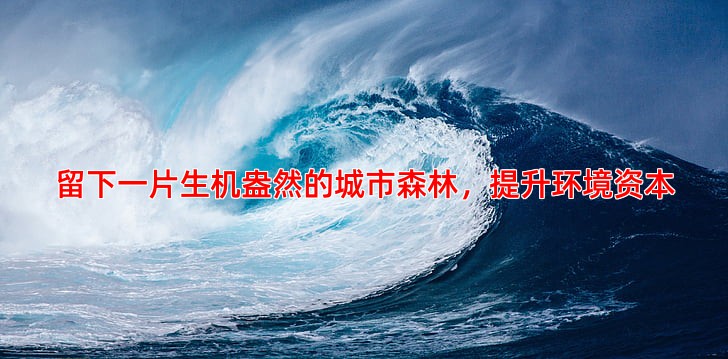留下一片生机盎然的城市森林，提升环境资本
