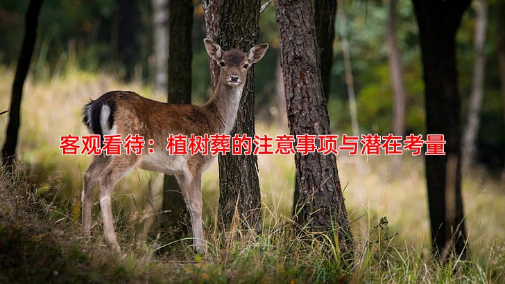 客观看待：植树葬的注意事项与潜在考量