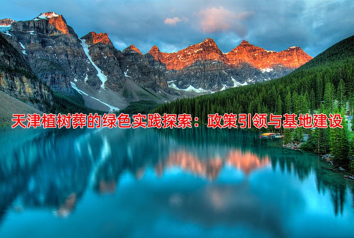 天津植树葬的绿色实践探索：政策引领与基地建设