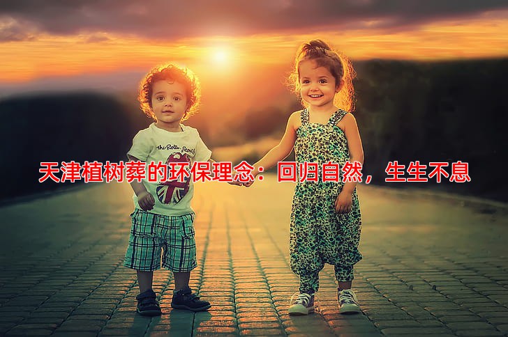 天津植树葬的环保理念是什么