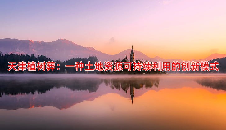 天津植树葬如何促进土地资源的可持续利用