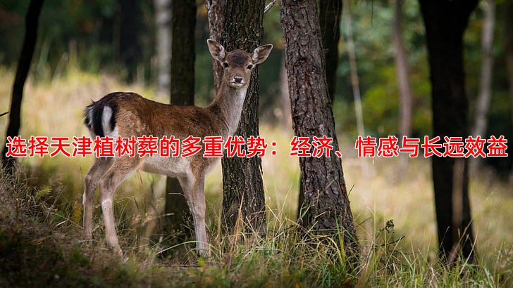 选择天津植树葬的多重优势：经济、情感与长远效益