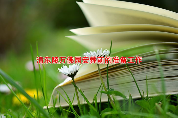 清东陵万佛园安葬前的准备工作
