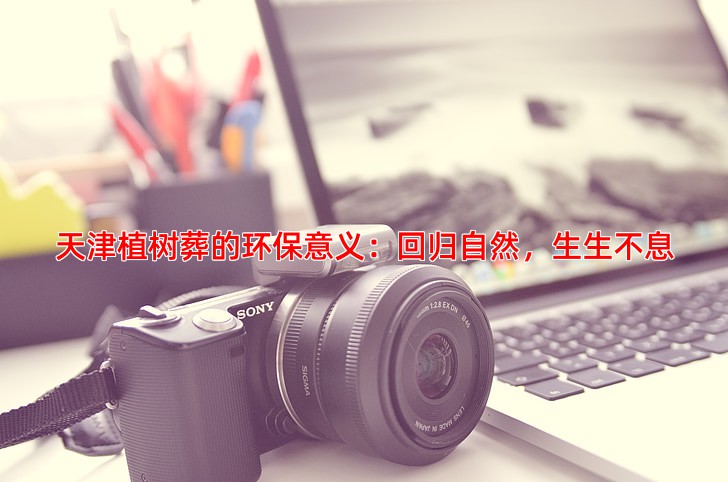 天津植树葬的环保意义与具体操作流程