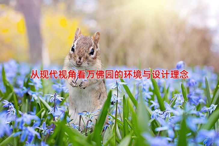 从现代视角看万佛园的环境与设计理念