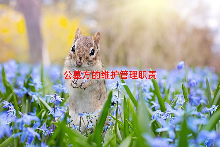 公墓方的维护管理职责