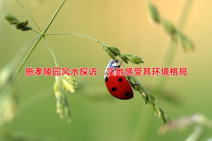 施孝陵园风水好不好实地探访