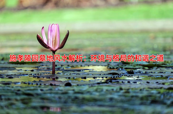施孝陵园墓地风水分析及选购指南