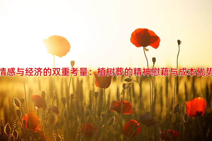 情感与经济的双重考量：植树葬的精神慰藉与成本优势