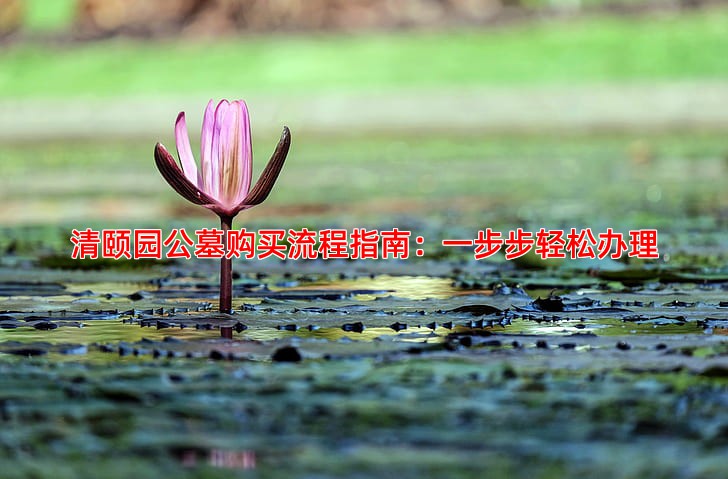 清颐园公墓购买流程指南：一步步轻松办理