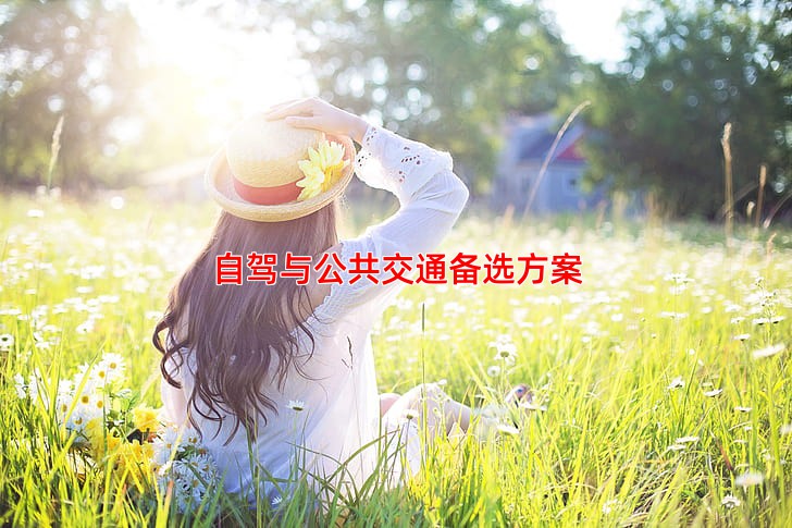 自驾与公共交通备选方案