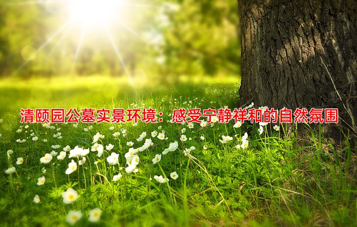清颐园公墓实景环境：感受宁静祥和的自然氛围
