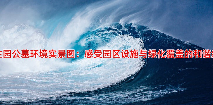 兰生园公墓环境实景图：感受园区设施与绿化覆盖的和谐统一