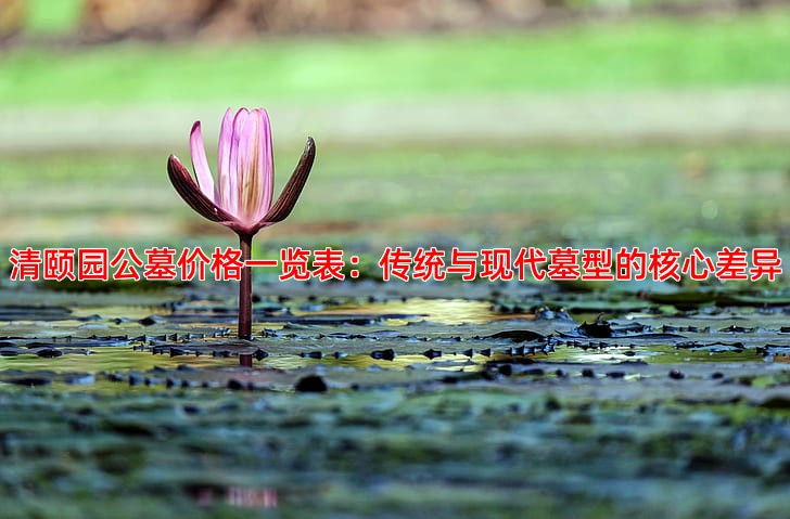 清颐园公墓价格一览表：传统与现代墓型的核心差异
