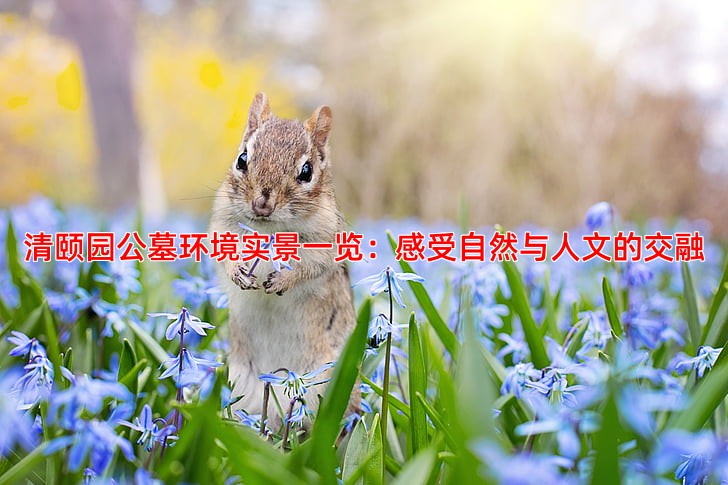 清颐园公墓环境实景一览：感受自然与人文的交融