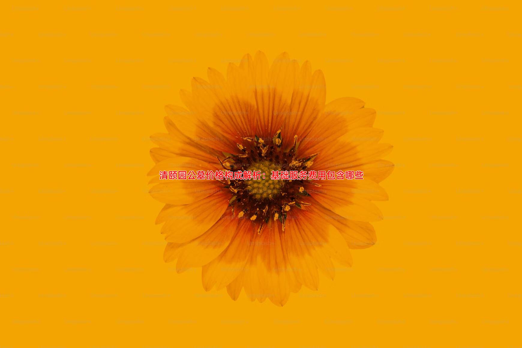 清颐园公墓价格构成解析：基础服务费用包含哪些