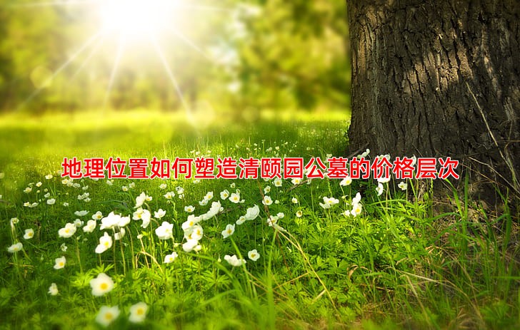 地理位置如何塑造清颐园公墓的价格层次