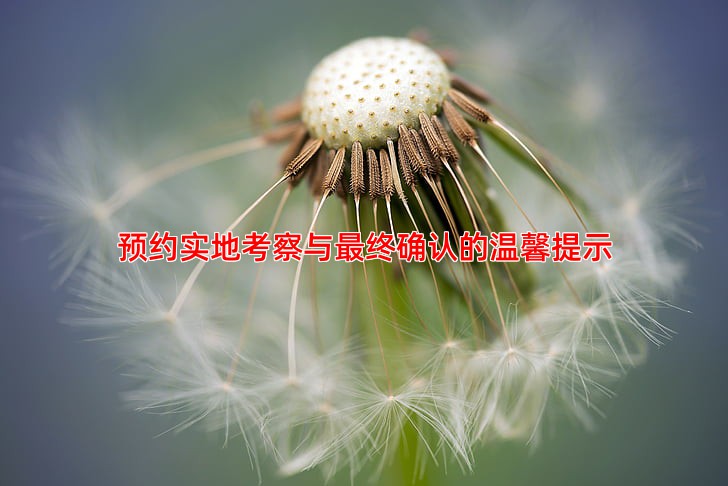 预约实地考察与终确认的温馨提示