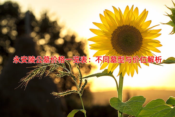 永安陵公墓价格一览表：不同墓型与价位解析