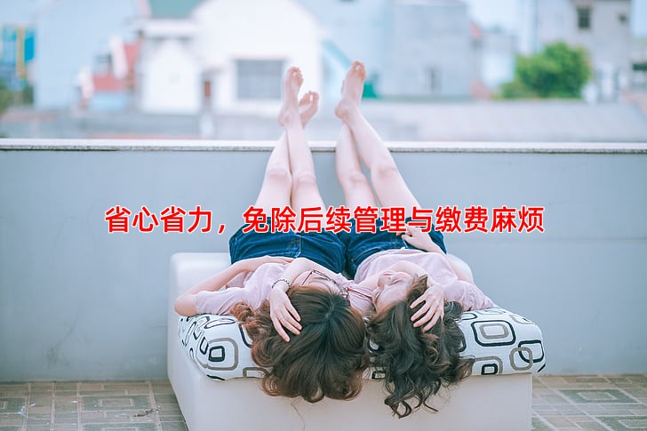 省心省力，免除后续管理与缴费麻烦