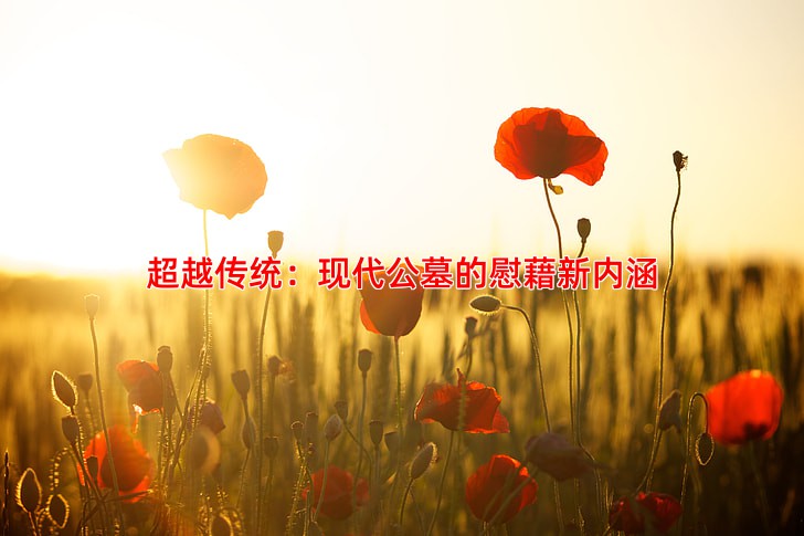 超越传统：现代公墓的慰藉新内涵
