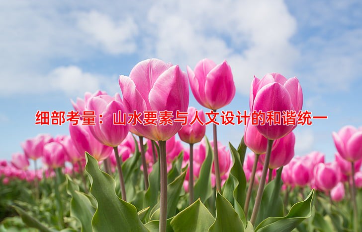 细部考量：山水要素与人文设计的和谐统一