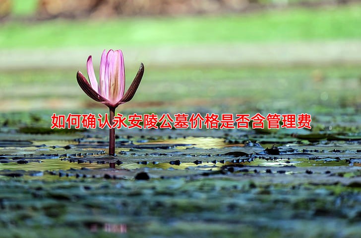如何确认永安陵公墓价格是否含管理费