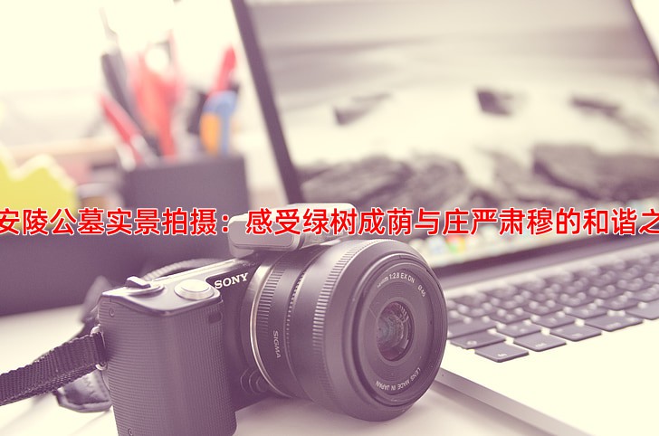 永安陵公墓实景拍摄：感受绿树成荫与庄严肃穆的和谐之境